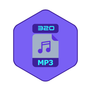 Stereo MP3 - 320 k/bit