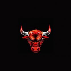 Bull Market