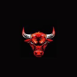 Bull Market