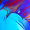 alexander-ant-XxFn6OfdXK0-unsplash-1.jpg